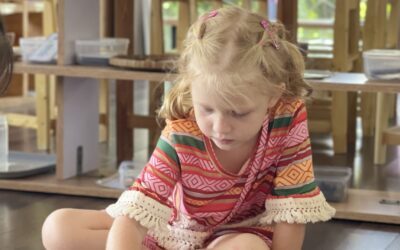 The Montessori Environment for the Child