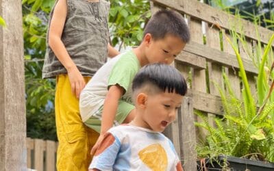Make Your Own Nature Museum to Spark Your Child’s Curiosity
