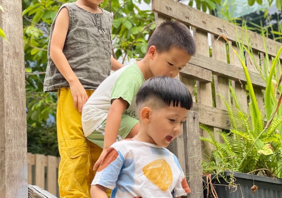 Make Your Own Nature Museum to Spark Your Child’s Curiosity