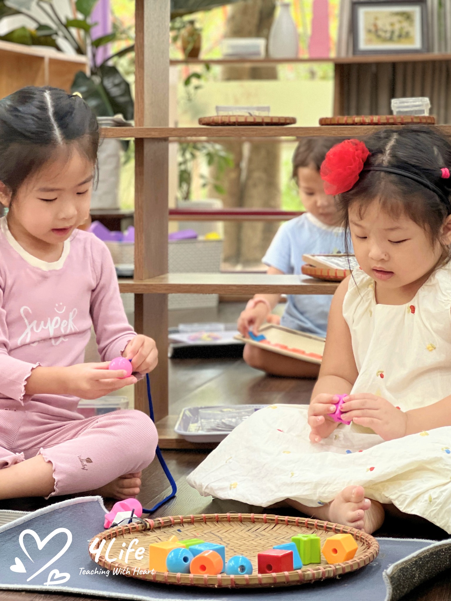 Exploring science in your home