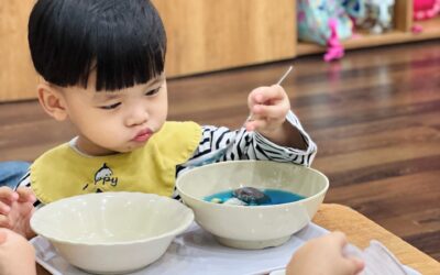 Montessori Activities Suitable for Each Preschool Age Group
