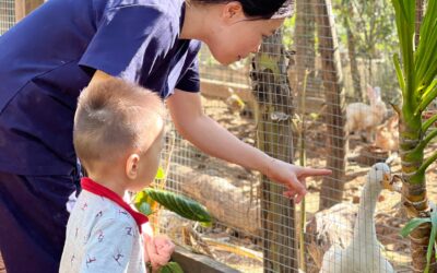 Developing Children’s Thinking and Awareness through Montessori Experiences