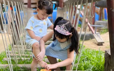 Independence Habits In Montessori – Built From The Smallest Things