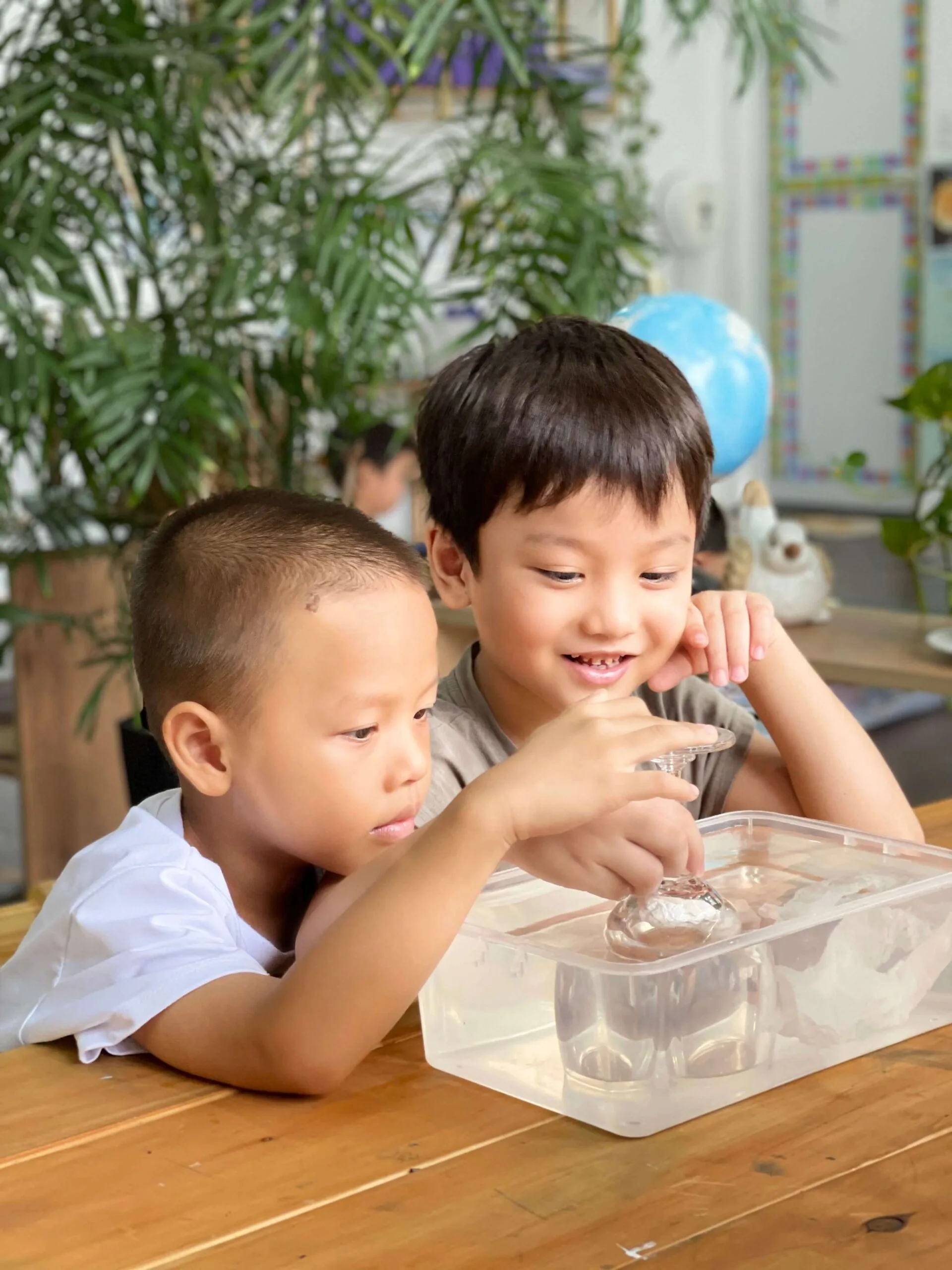 Observation Is The Foundation Of Intelligence For Preschool Children
