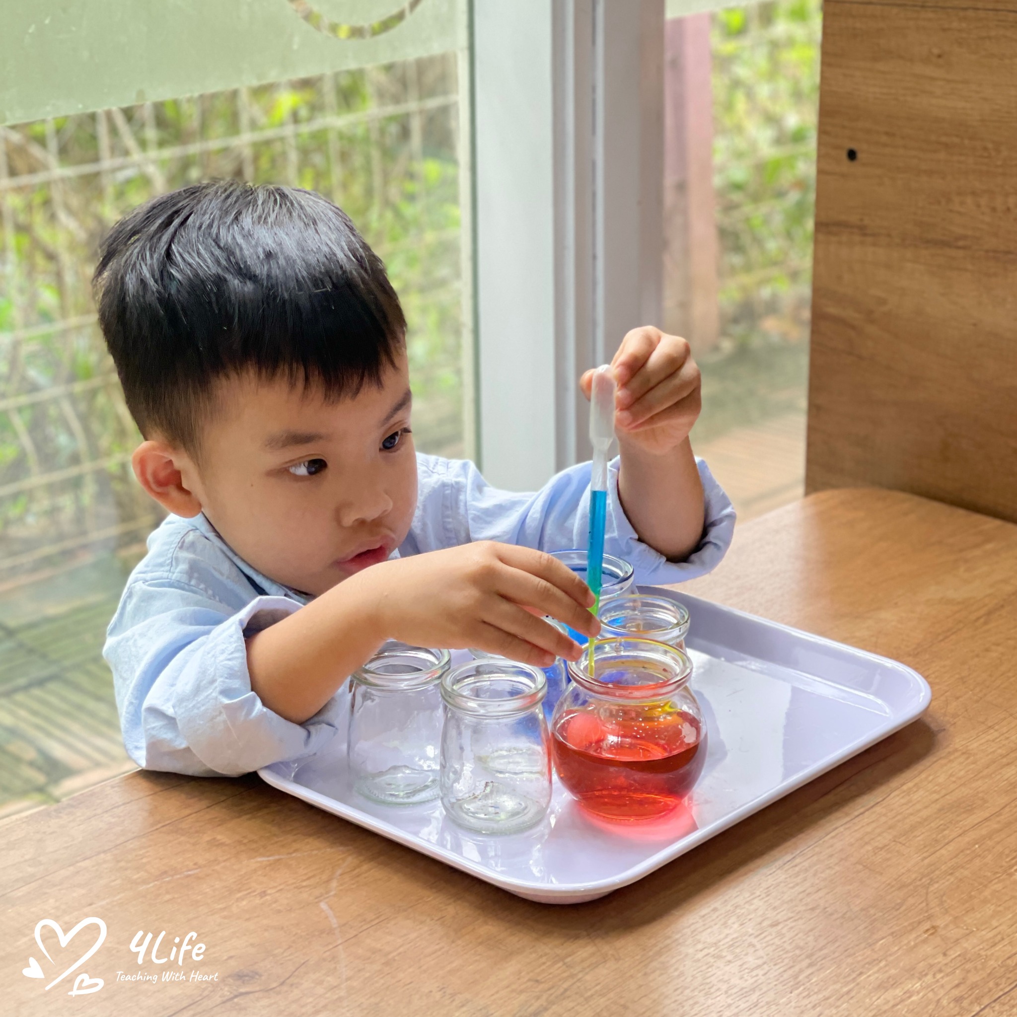 The Educational Philosophy Of Respecting Children's Natural Developmental Pace